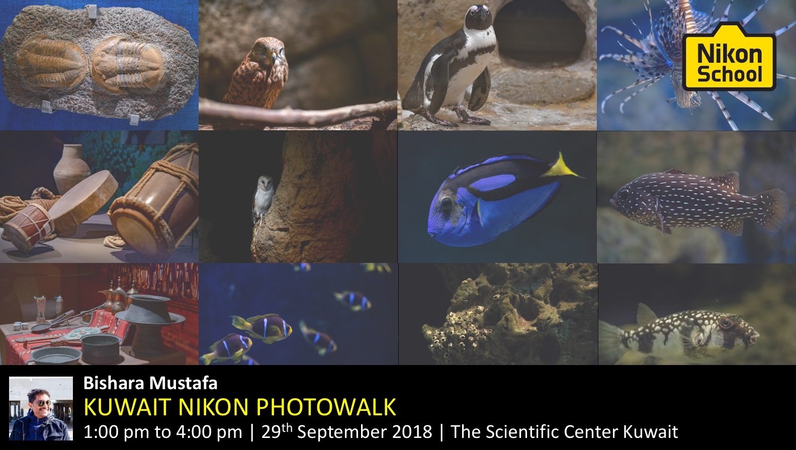 Nikon School Marine Life Photowalk Poster